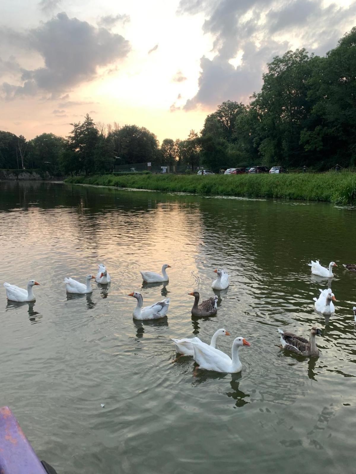 Nuit Insolite A Bord D'Une Peniche, 6 Personnes ベルグ エクステリア 写真
